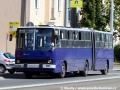 Typický a nejrozšířenější maďarský autobus značky Ikarus. | 28.8.2012