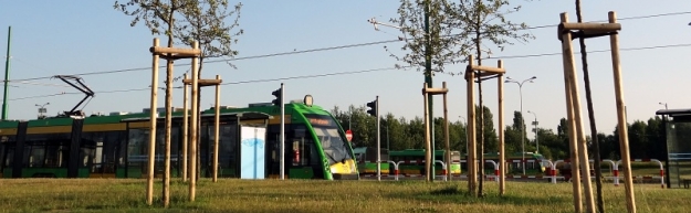 Večerní letní pohoda ve smyčce Franowo s vozy značky Solaris. | 18.7.2013