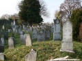 Opuštěný Židovský hřbitov v Osoblaze poskytuje místo posledního odpočinku více než třem stovkám předků... | 5.11.2011