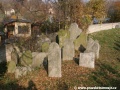 Opuštěný Židovský hřbitov v Osoblaze poskytuje místo posledního odpočinku více než třem stovkám předků... | 5.11.2011