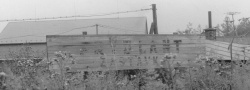 Frýdlant zastávka k níž náležela vlečka do areálu blízké továrny | 25.7.1987