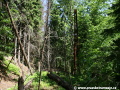 Mezi stromy ční k nebi zrezlý pamětník elektrifikace pruské části železniční tratě, včetně nákladiště. | 26.5.2009