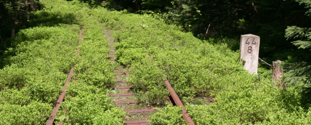 I kilometr 44,8 tratě se ztrácí v bujné vegetaci. | 26.5.2009
