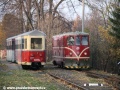 Motorová lokomotiva 705.913-2 objíždí odstavené vozy Balm/u v Třemešné ve Slezsku po vedlejší koleji. | 5.11.2011