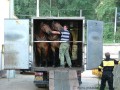 Koně určení k tažení vozu koňky dorazili do vozovny Motol | 27.8.2005